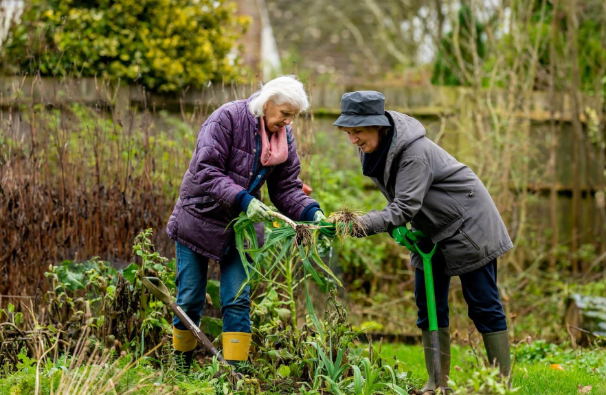 seniors working in fields