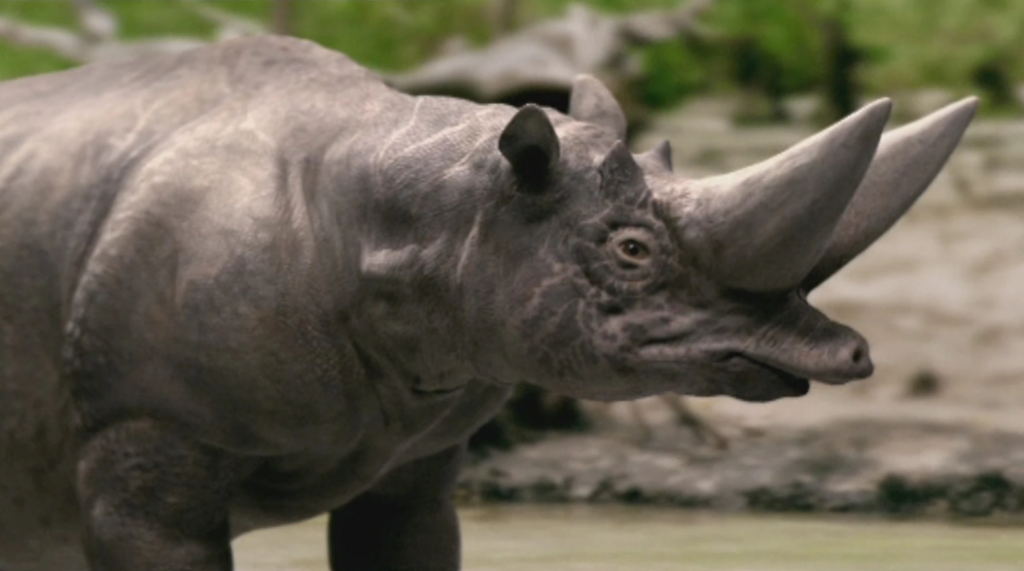 Arsinoitherium extinct animal