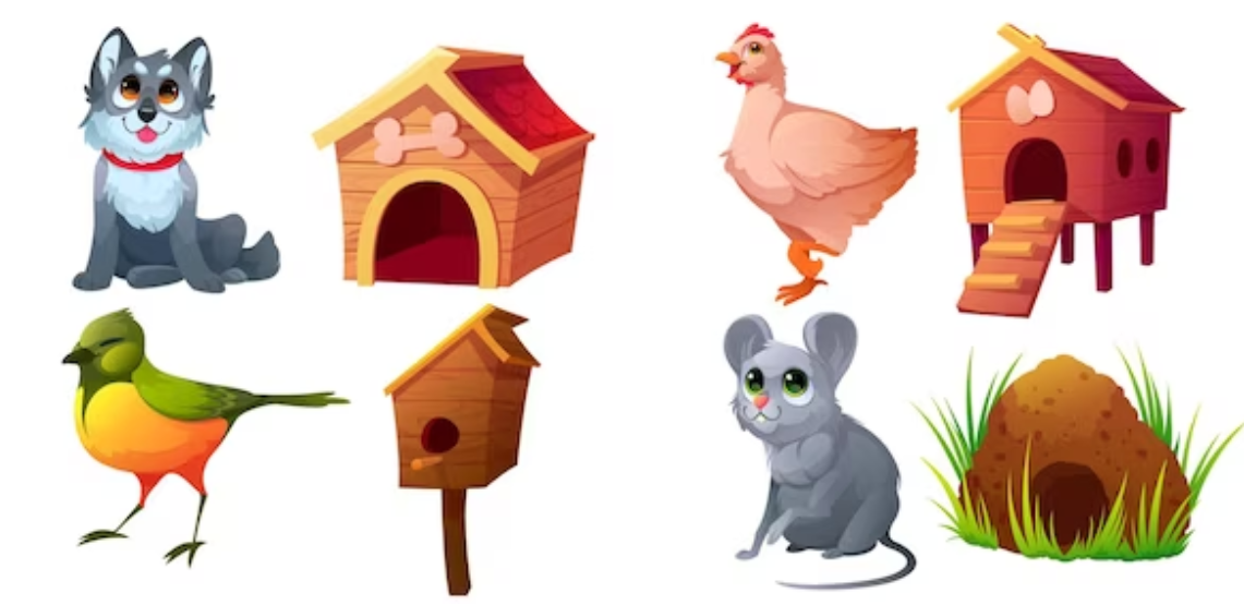 animal living places, animals homes names list