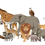 Animals general knowledge GK Questions
