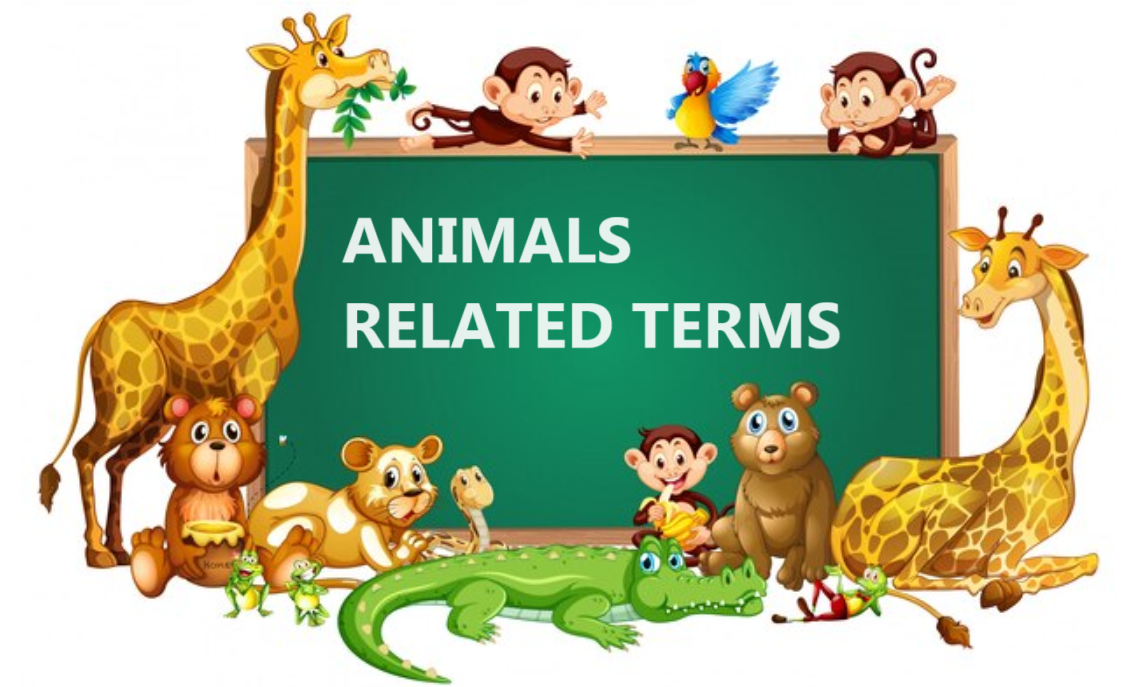 animal related terms knowledge