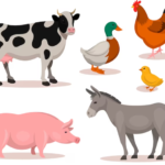 biology animals gk practice questions 11