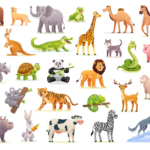 Biology animals knowledge gk practice questions 3