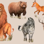 Biology animals knowledge gk practice questions 6