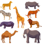 Biology animals knowledge gk practice questions 8