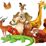 Biology animals knowledge gk practice questions 9