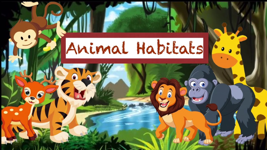 Animals Habitats and Living places