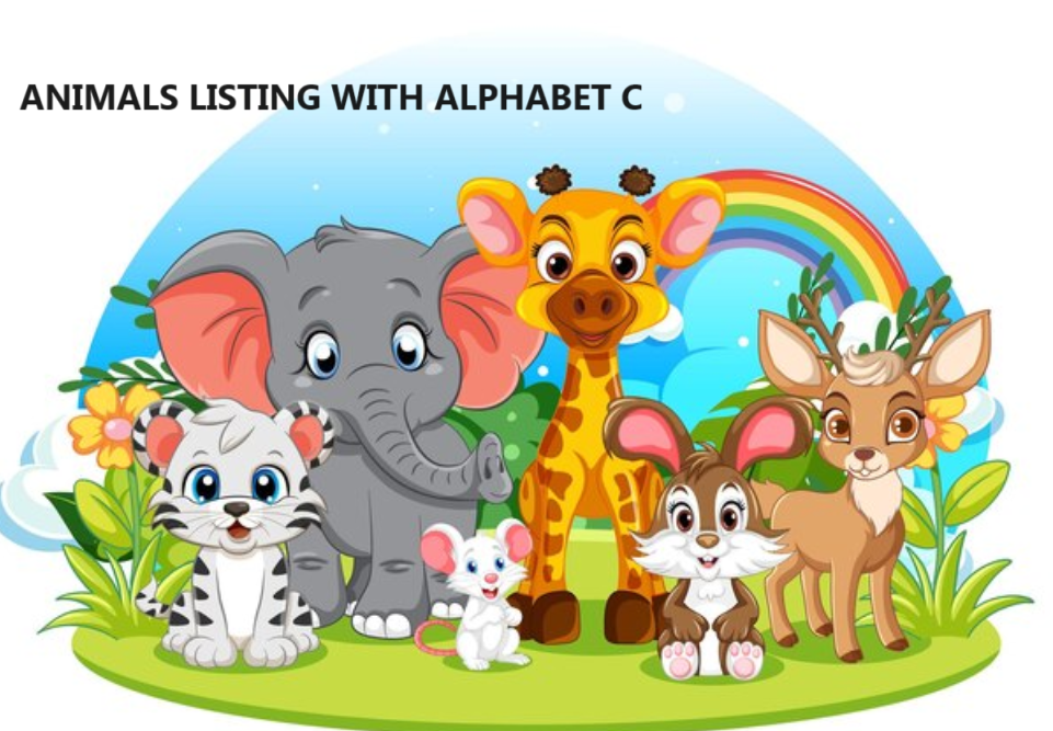 animals group with alphabet c