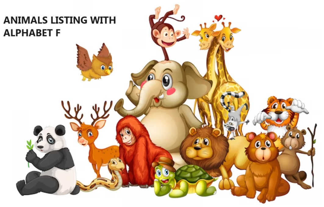 animals group with alphabet f