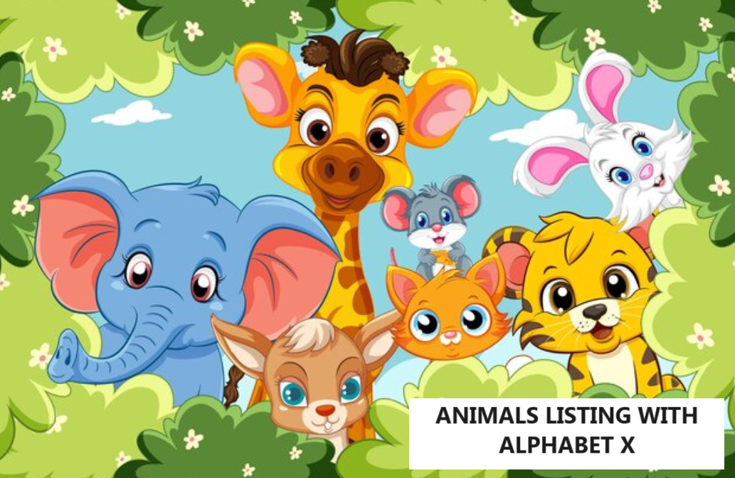 animals group with alphabet x