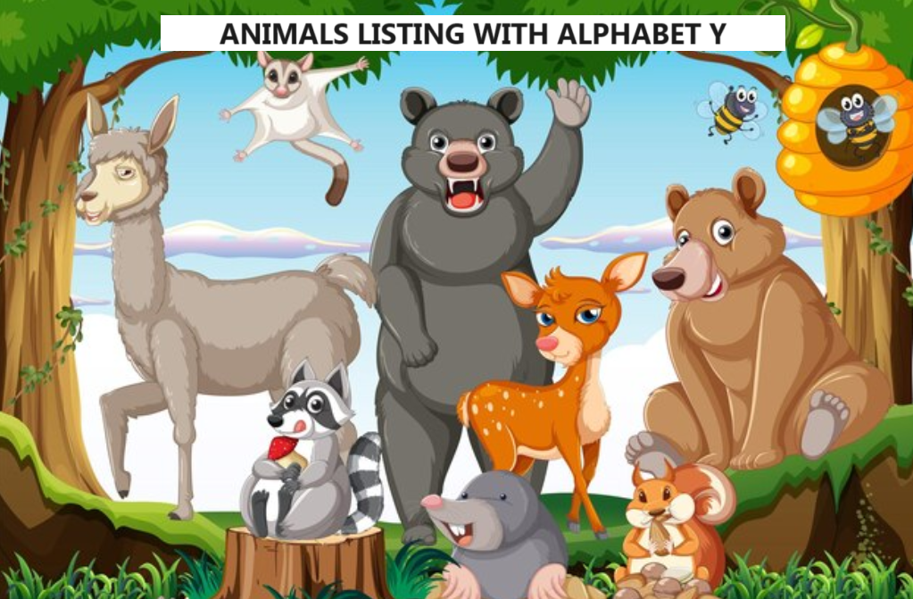 animals are grouped by alphabet Y