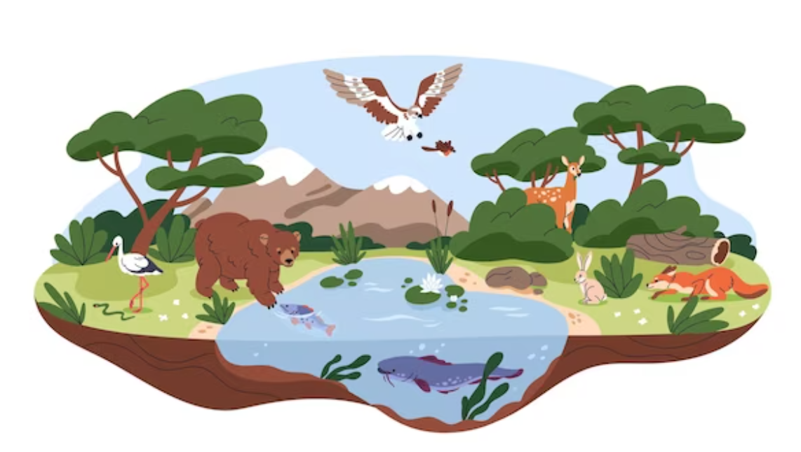 Animal habitat and distribution