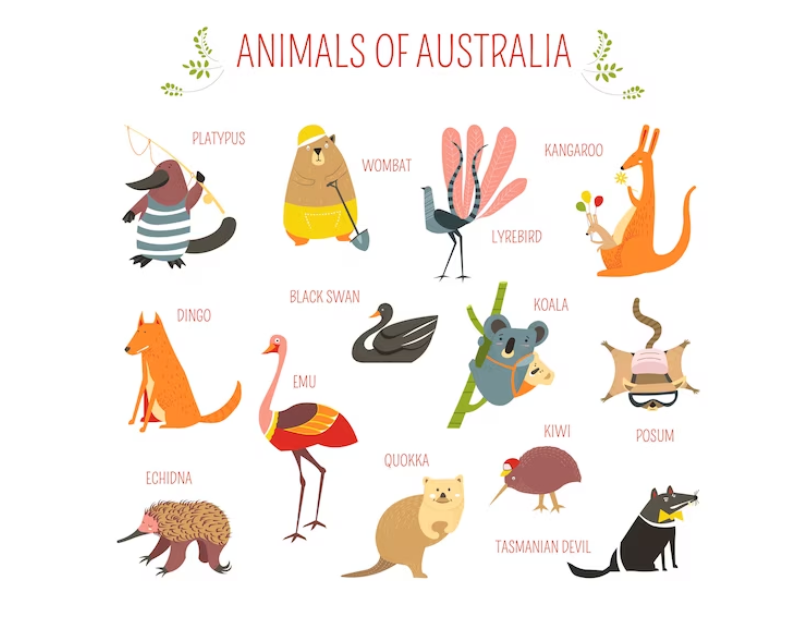 animals of Australia