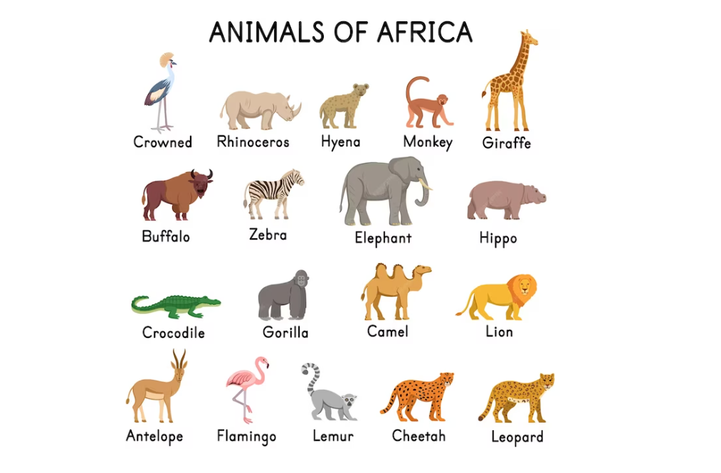 animals of africa