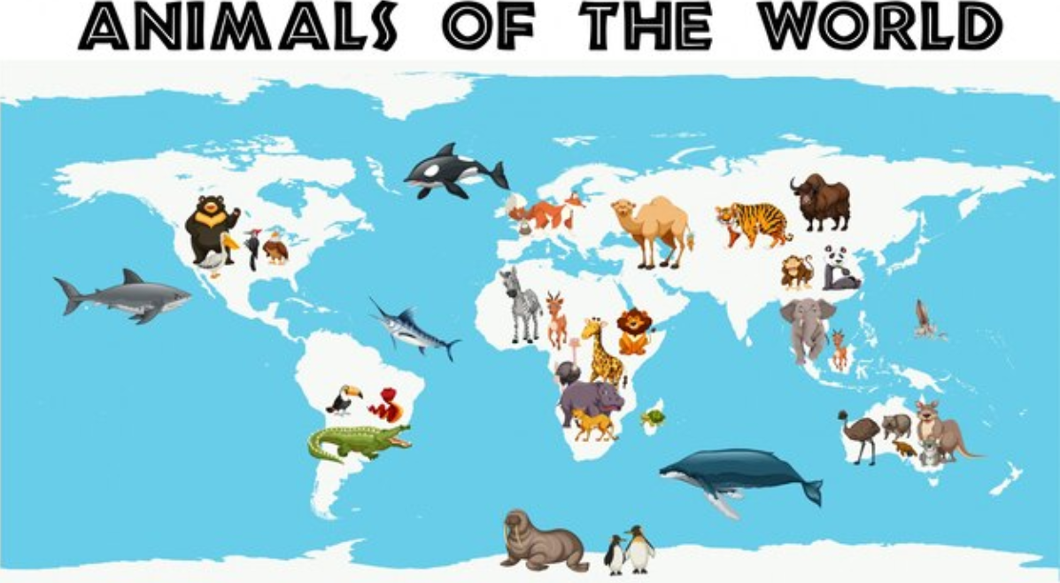 animals of world and their habitats