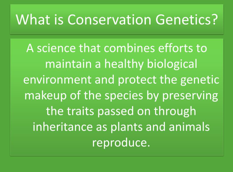 Wildlife Conservation genetics