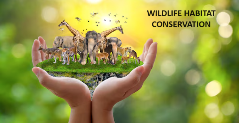 Wildlife Habitat conservation