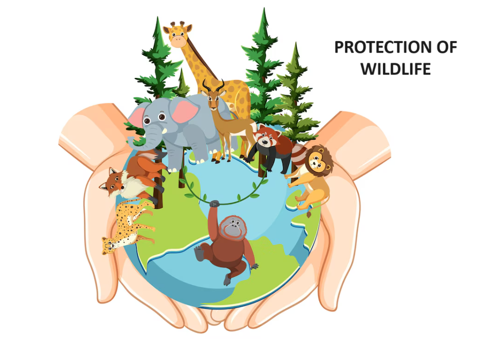 threats to wildlife: wildlife conservation
