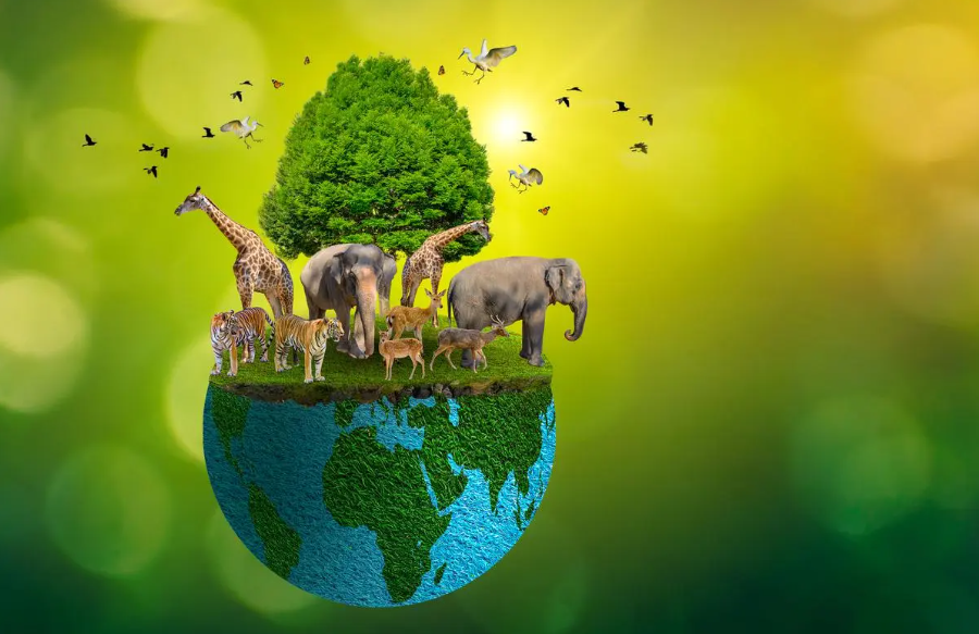 wildlife conservation