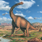 Brachiosaurus body characteristics and features