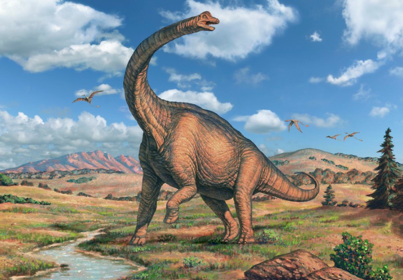 Top 10 Facts about Brachiosaurus dinosaur