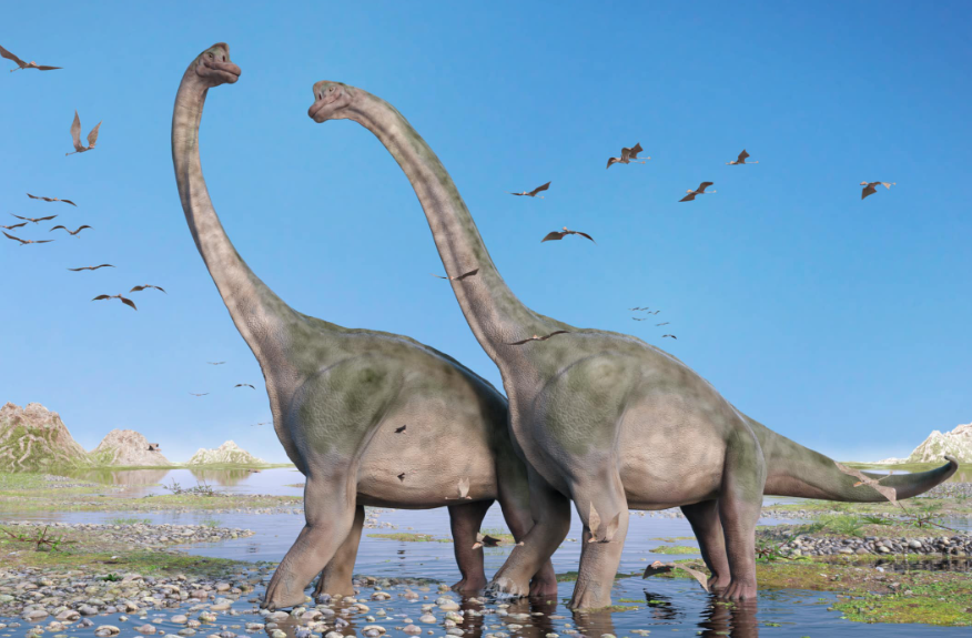 Brachiosaurus facts and features