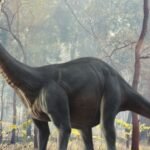 Brontosaurus body characteristics and features