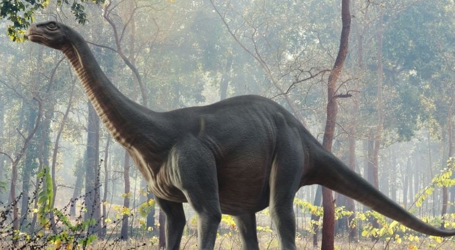 Top 10 Facts about Brontosaurus dinosaur