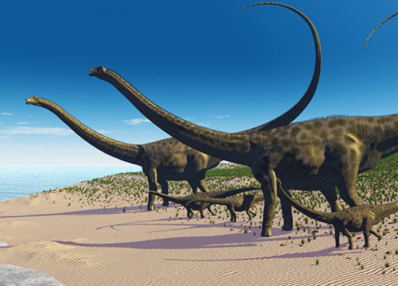 Brontosaurus facts and features