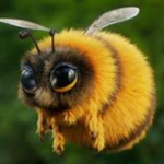 Bumblebee facts and habitat