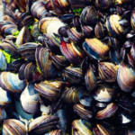 Habitat and Distribution of Zebra Mussels