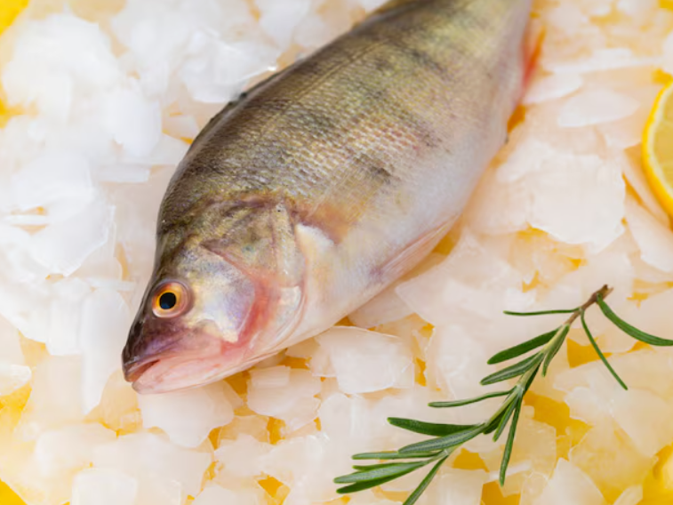 Diet and Behaviour of the Yellow Perch