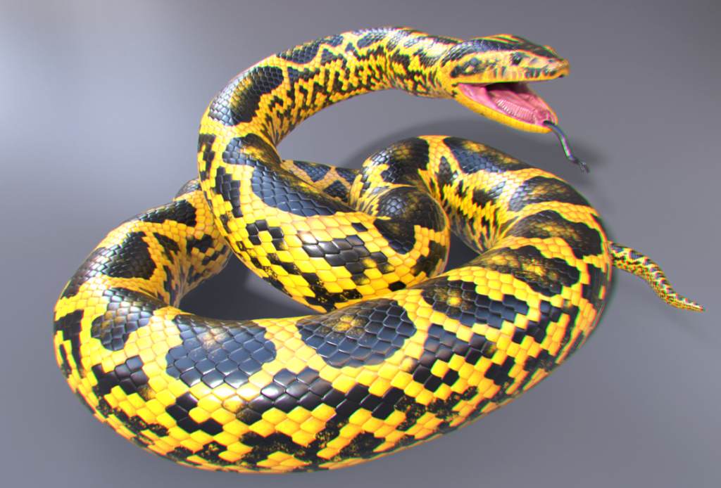Yellow Anaconda Size and Physical Strength