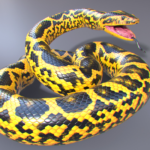 Yellow Anaconda Size and Physical Strength