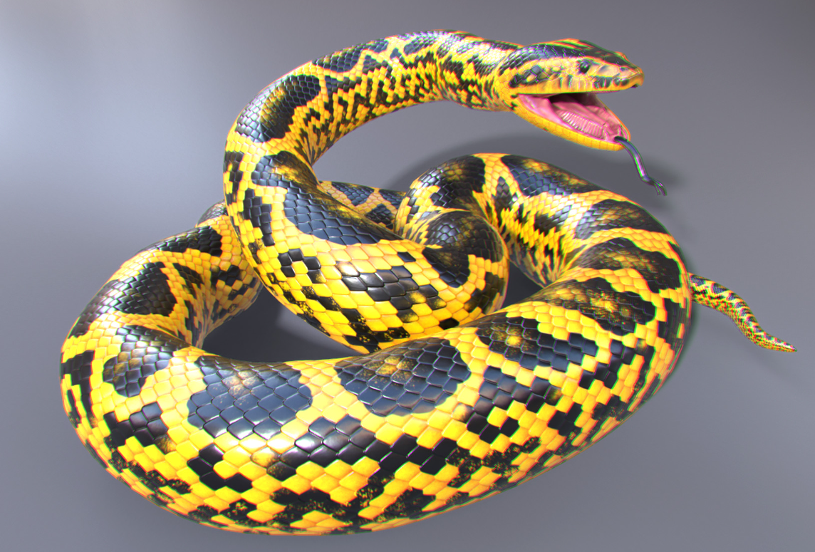 Top 10 Facts about Yellow Anaconda