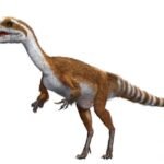 Is Sinosauropteryx related to birds