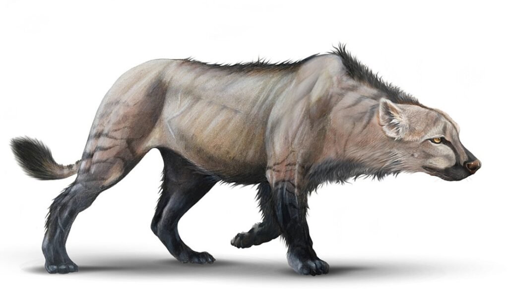 Quick Top 10 Facts about Simbakubwa