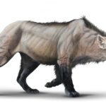 Quick Top 10 Facts about Simbakubwa