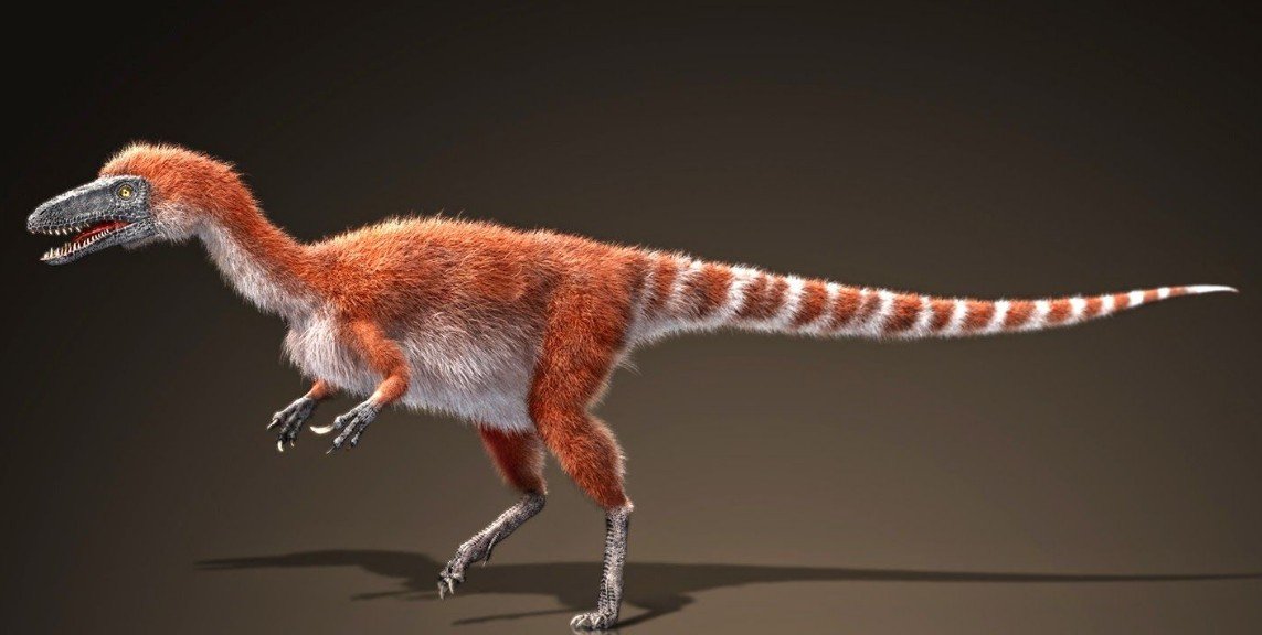 Quick Top 10 Facts about Sinosauropteryx
