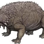 Top 10 Facts about Scutosaurus