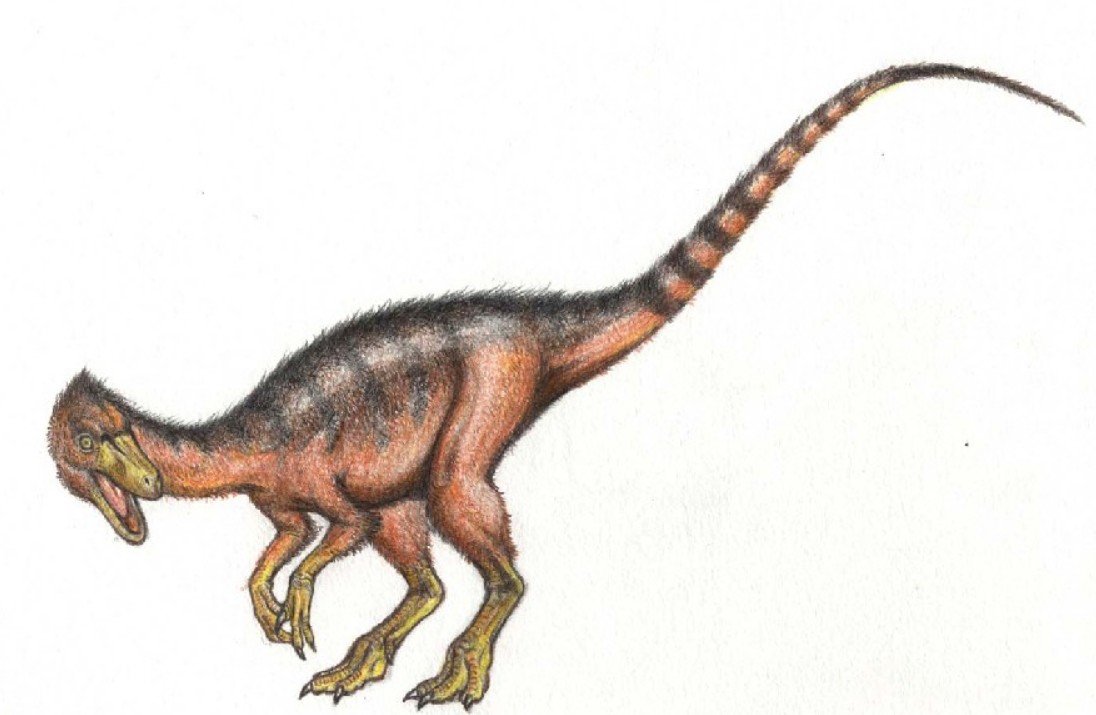 Where was Sinosauropteryx found