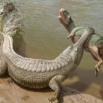 Top 10 Facts about Sarcosuchus