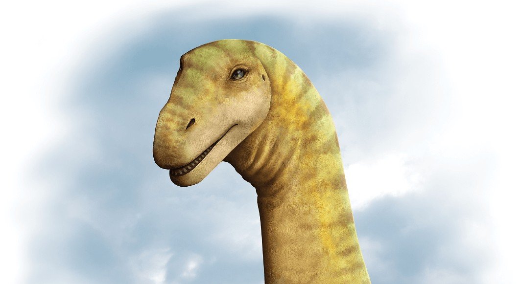 Habits of Behaviour and Feeding of Sauropod Dinosaur