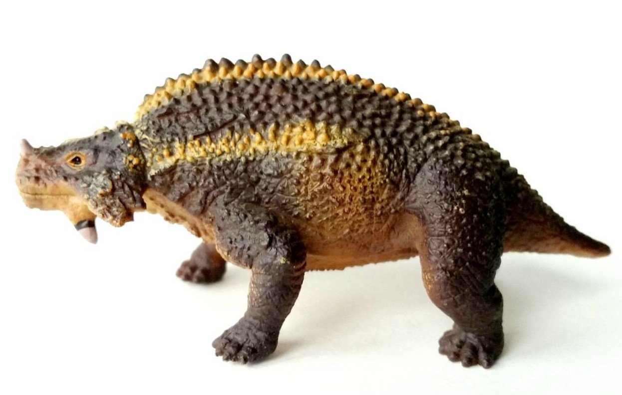 Nutrition and Feeding Practices of Scutosaurus