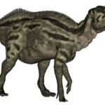 Diet and Behaviour of Shantungosaurus
