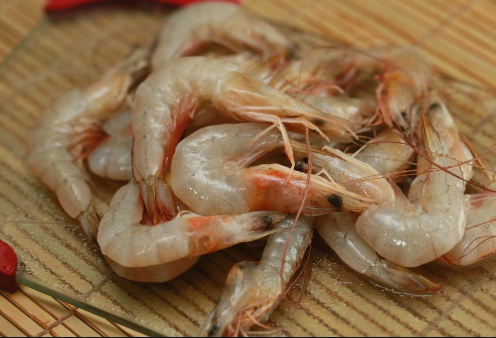 Physical Attributes of Shrimp Anatomy, Exoskeleton & Features