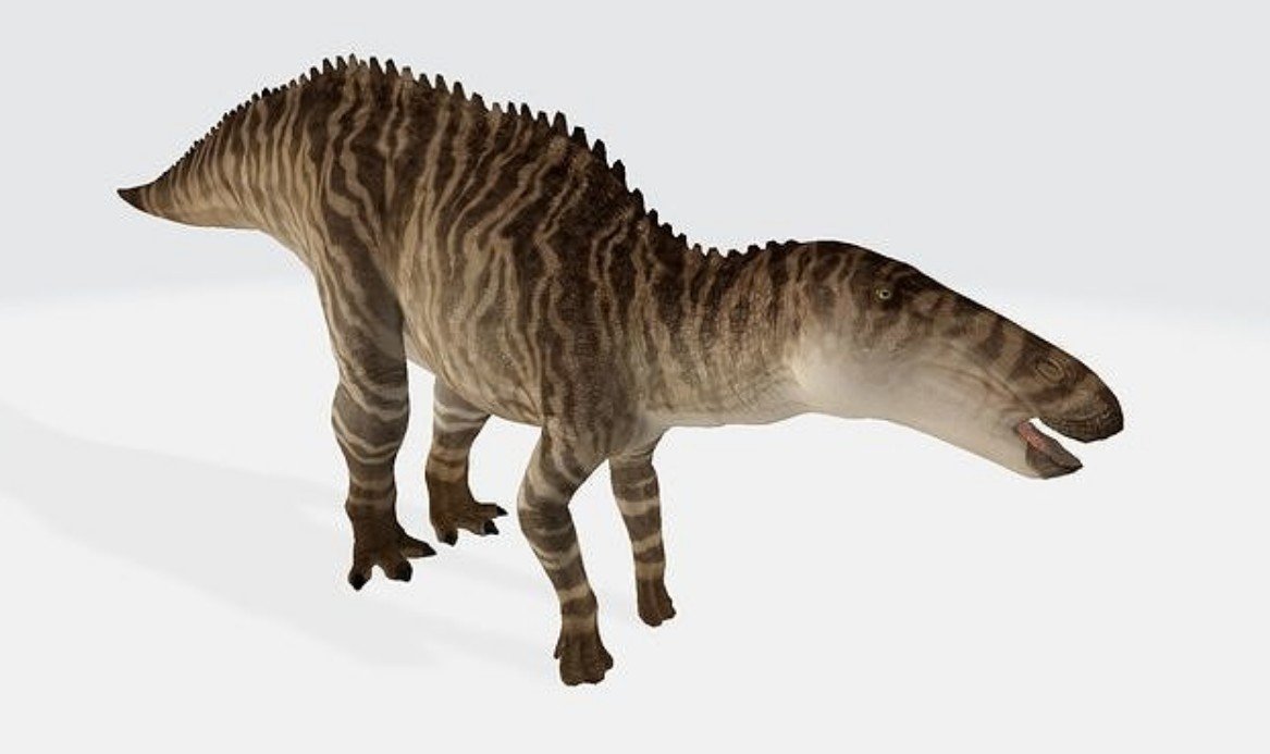 Shantungosaurus - Facts Pictures & Questions