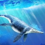 Shastasaurus Reproduction in Triassic Marine Ecosystems