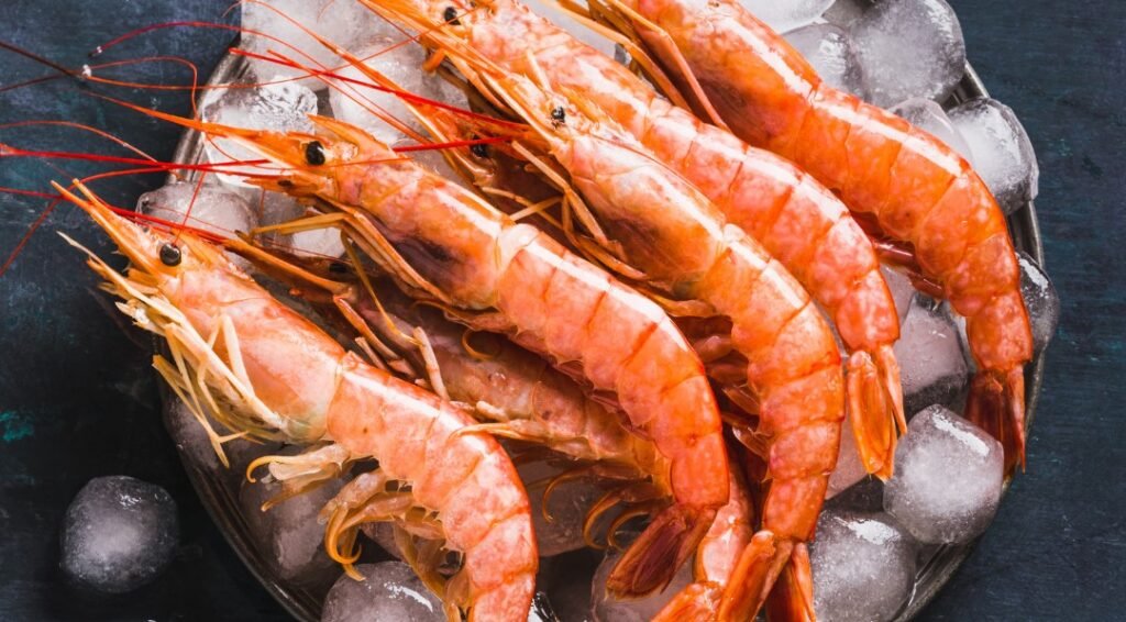 Shrimp Behavior, Mating & Social Patterns