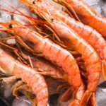 Shrimp Behavior, Mating & Social Patterns